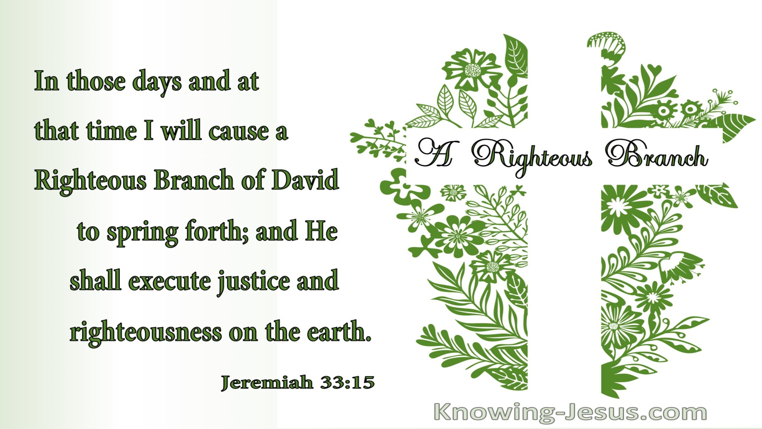 Jeremiah 33:15 A Righteous Branch of David (green)